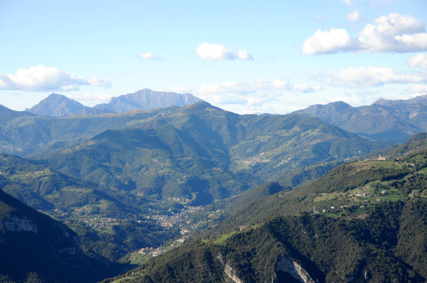 Aiuto riconoscimento Orobie, Prealpi bergamasche e bresciane
